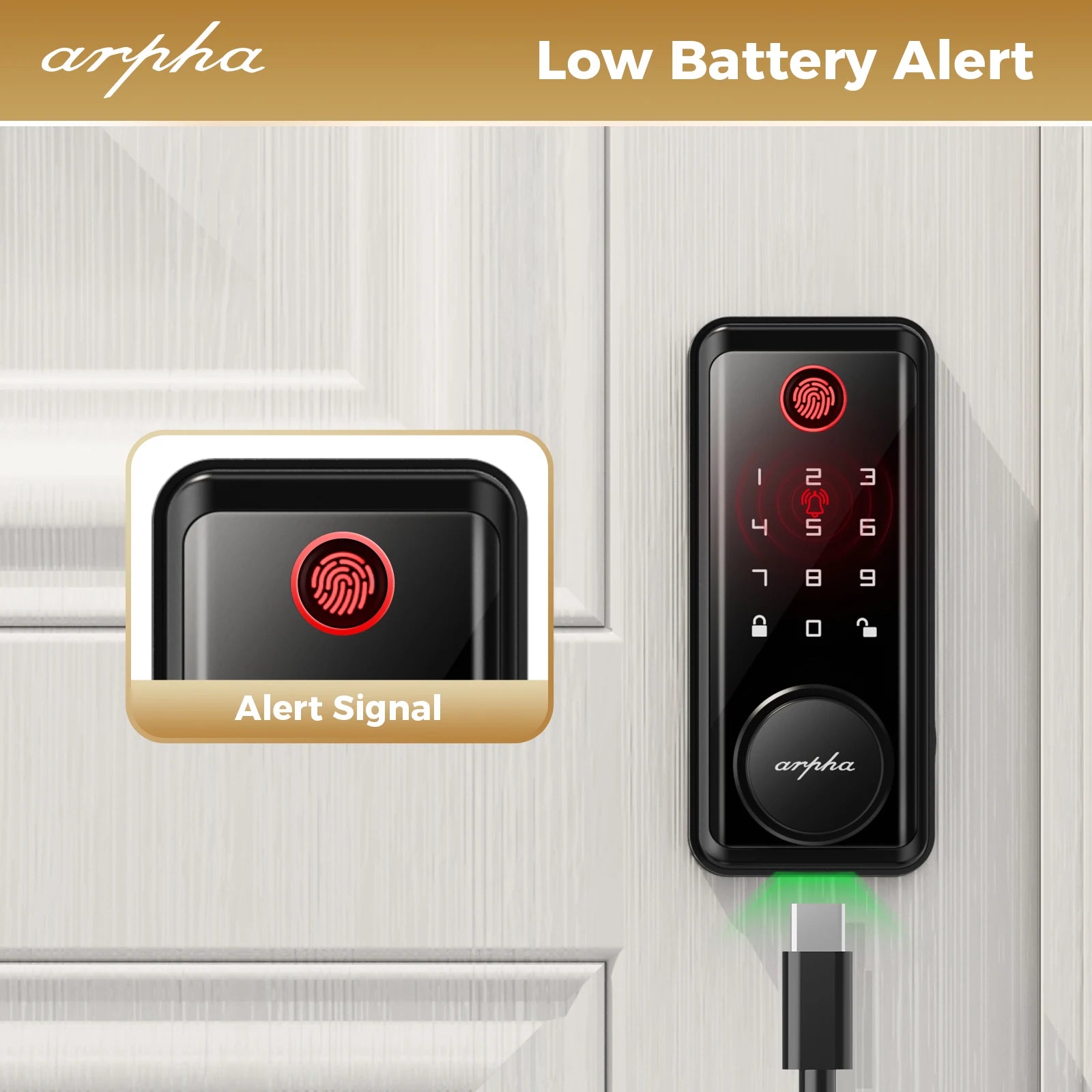 Arpha Smart Lock D601